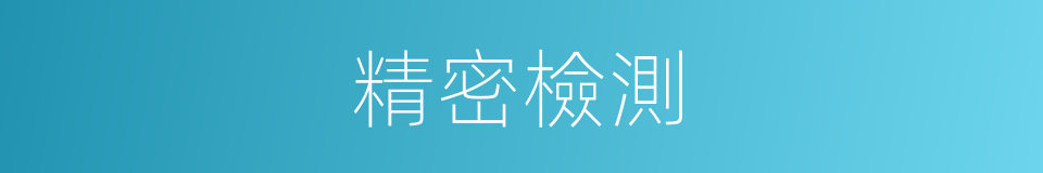精密檢測的同義詞