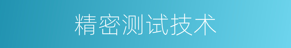 精密测试技术的同义词