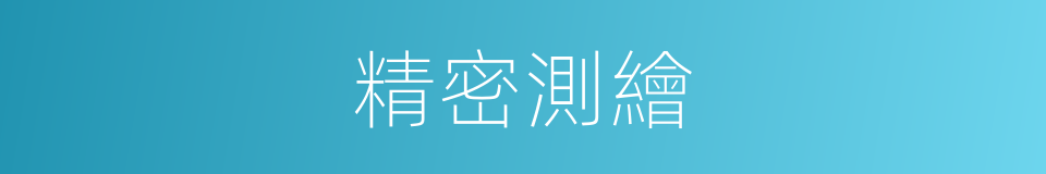 精密測繪的同義詞