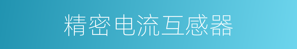 精密电流互感器的同义词