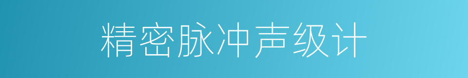 精密脉冲声级计的同义词