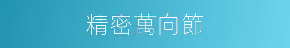 精密萬向節的同義詞