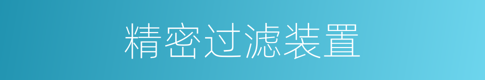 精密过滤装置的同义词