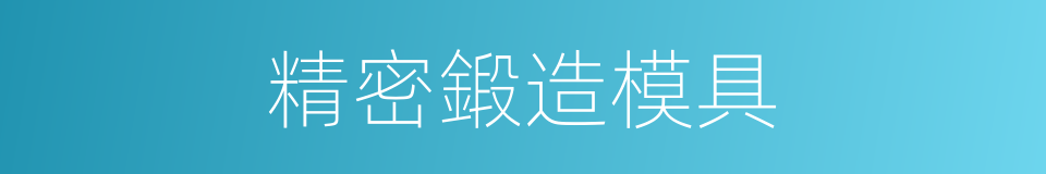 精密鍛造模具的同義詞