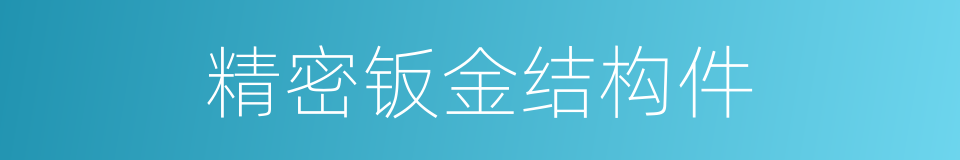 精密钣金结构件的同义词