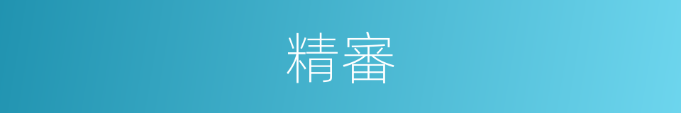 精審的意思