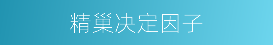 精巢决定因子的同义词