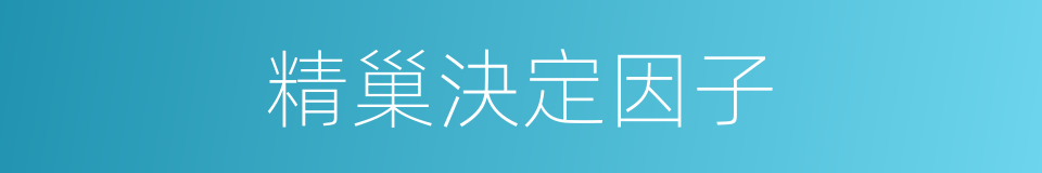 精巢決定因子的同義詞