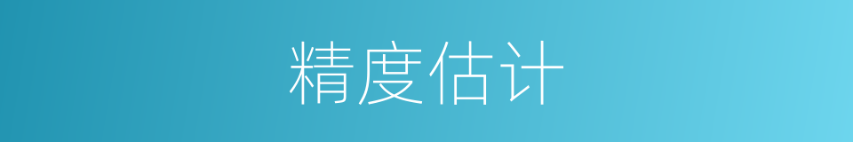 精度估计的同义词