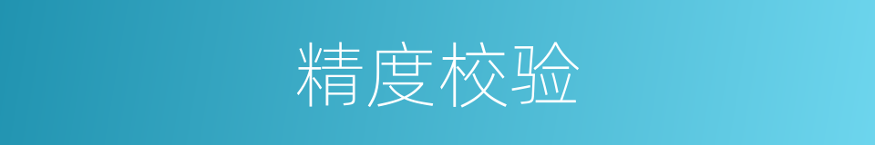 精度校验的同义词