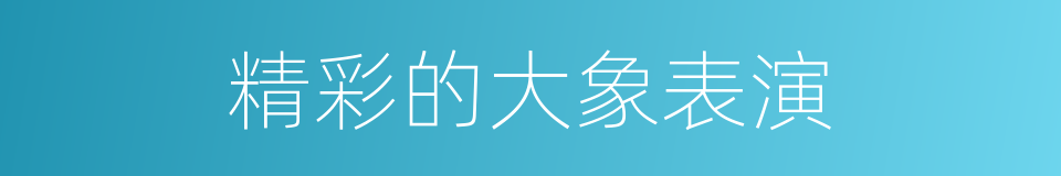 精彩的大象表演的同义词