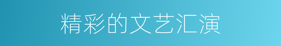 精彩的文艺汇演的同义词