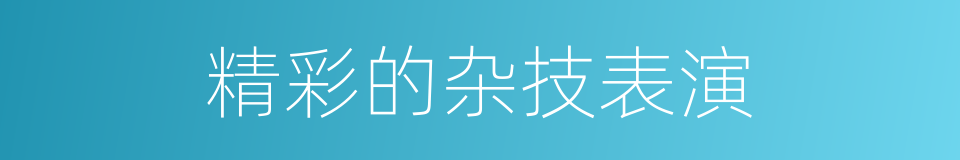 精彩的杂技表演的同义词