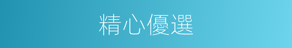 精心優選的同義詞