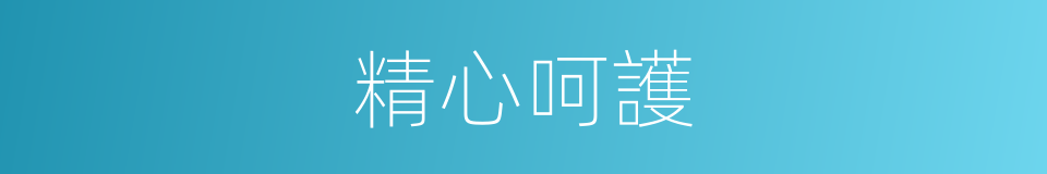 精心呵護的意思
