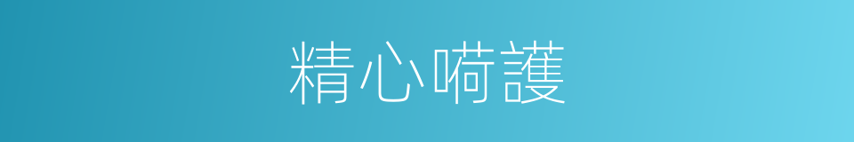 精心嗬護的意思