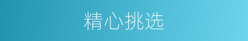精心挑选的意思