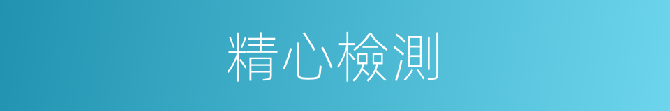 精心檢測的同義詞