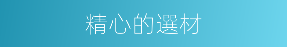 精心的選材的同義詞