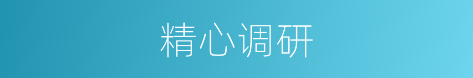 精心调研的同义词