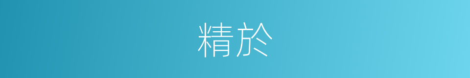 精於的意思