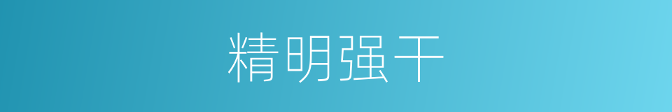 精明强干的意思