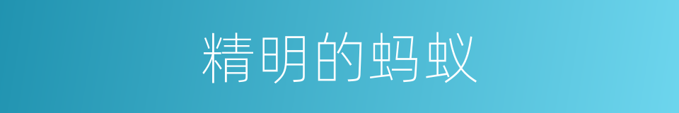 精明的蚂蚁的同义词