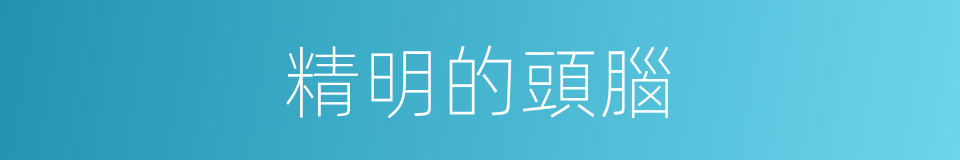 精明的頭腦的同義詞