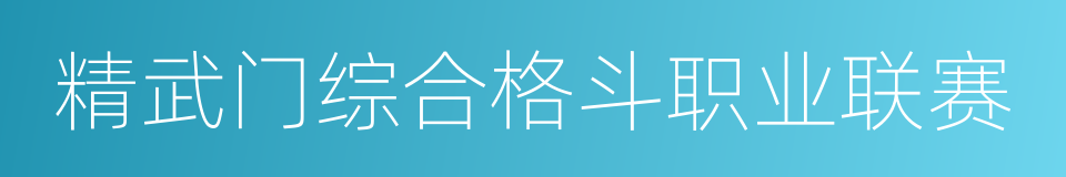 精武门综合格斗职业联赛的同义词