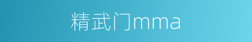 精武门mma的同义词