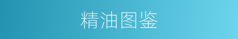 精油图鉴的同义词