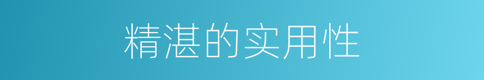 精湛的实用性的同义词