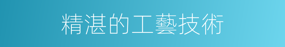 精湛的工藝技術的同義詞