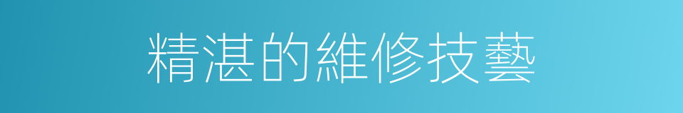 精湛的維修技藝的同義詞