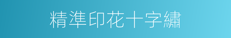 精準印花十字繡的同義詞