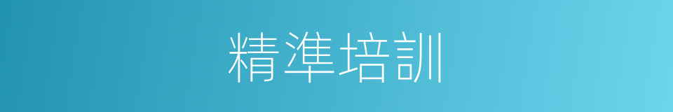 精準培訓的同義詞