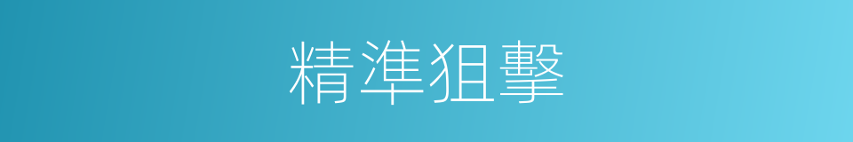 精準狙擊的同義詞