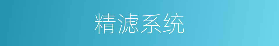 精滤系统的同义词