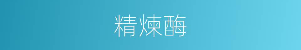 精煉酶的同義詞