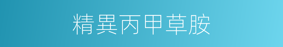 精異丙甲草胺的同義詞