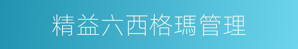 精益六西格瑪管理的同義詞