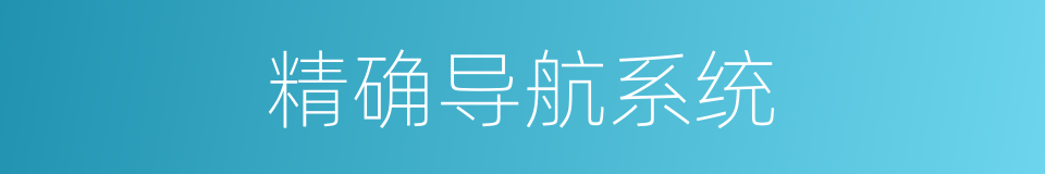 精确导航系统的同义词