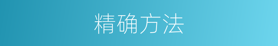 精确方法的同义词