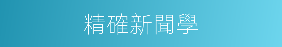 精確新聞學的同義詞