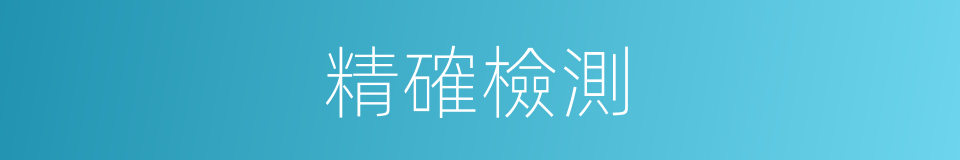 精確檢測的同義詞