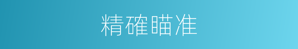 精確瞄准的同義詞