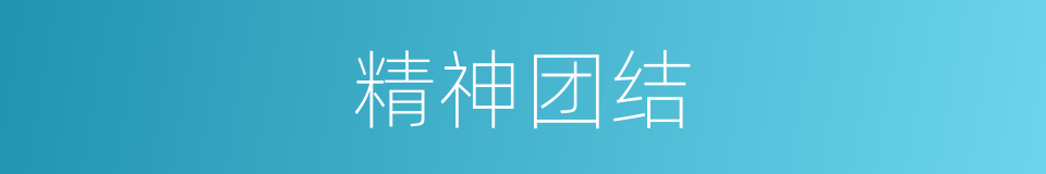 精神团结的同义词