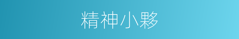 精神小夥的意思