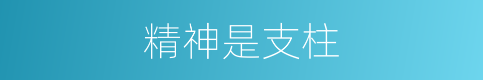 精神是支柱的同义词