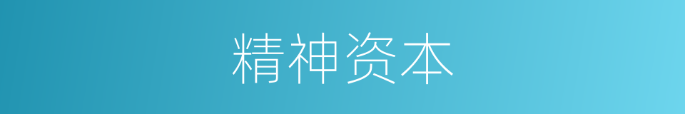 精神资本的同义词